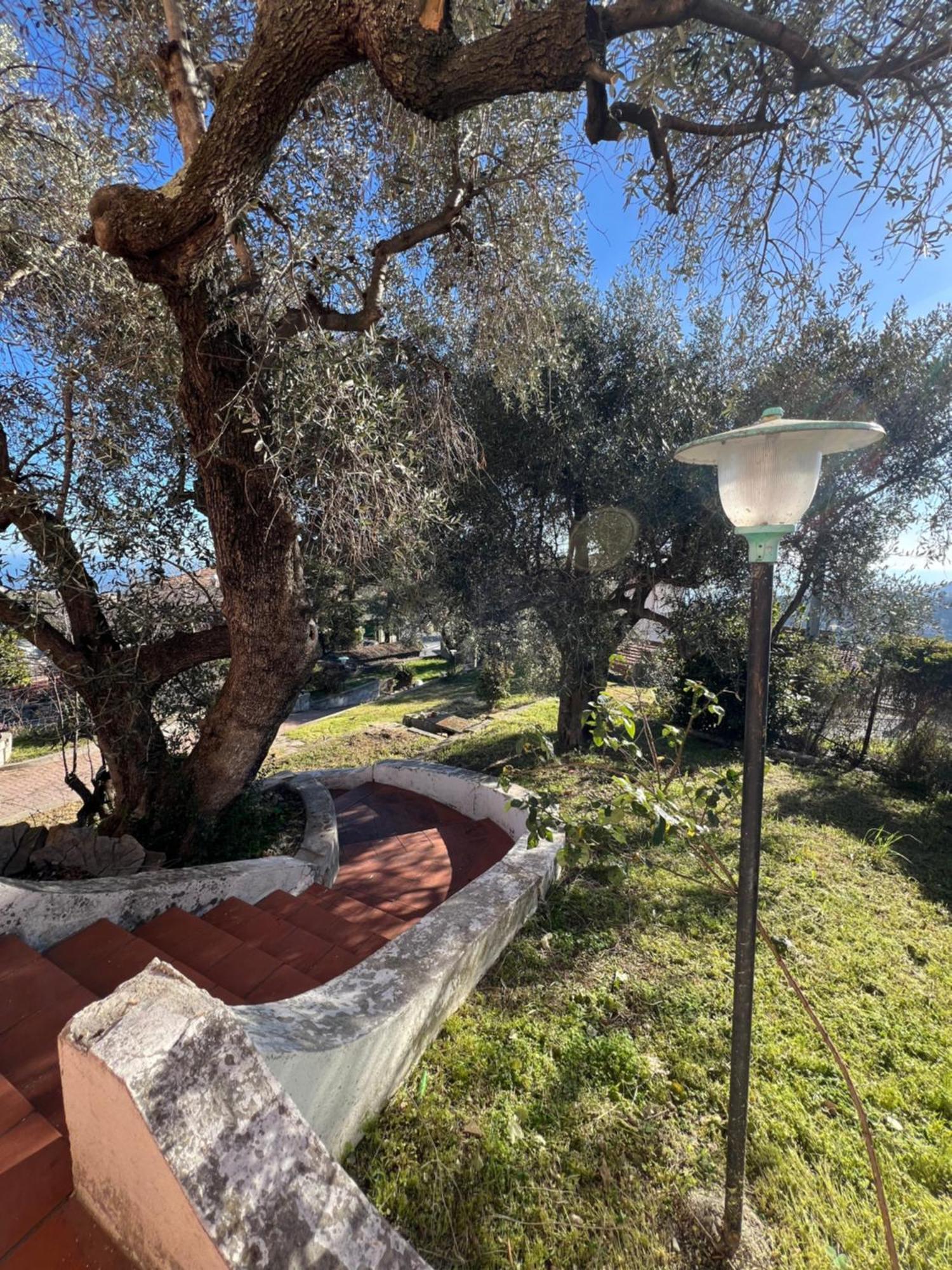Villa In Collina Vista Mare Σαν Ρέμο Εξωτερικό φωτογραφία
