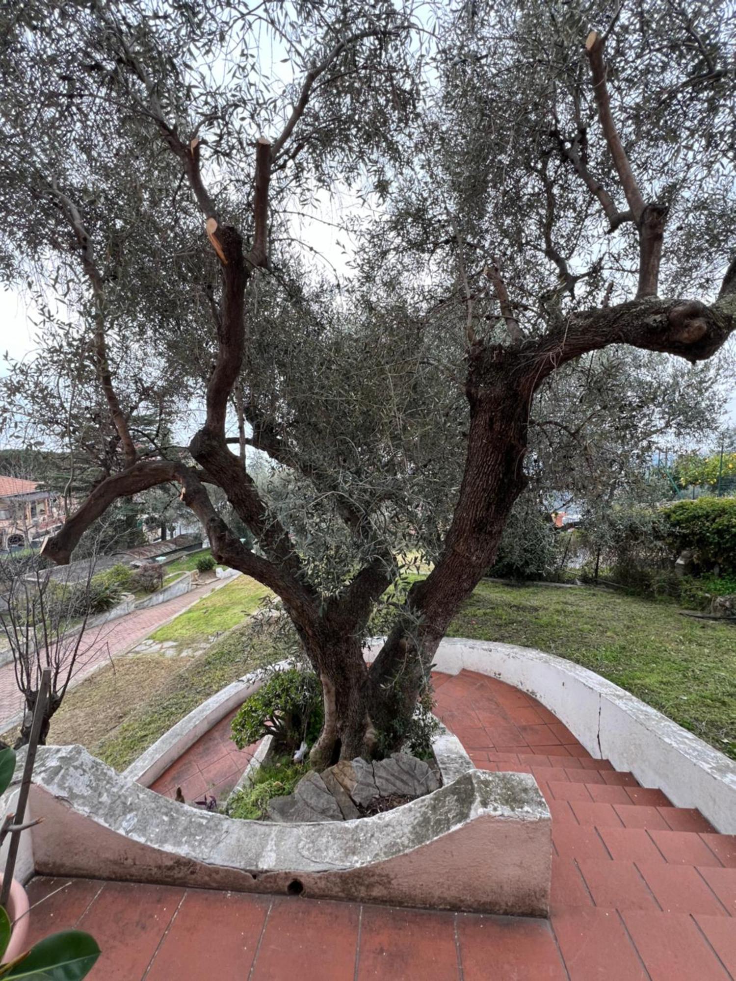 Villa In Collina Vista Mare Σαν Ρέμο Εξωτερικό φωτογραφία