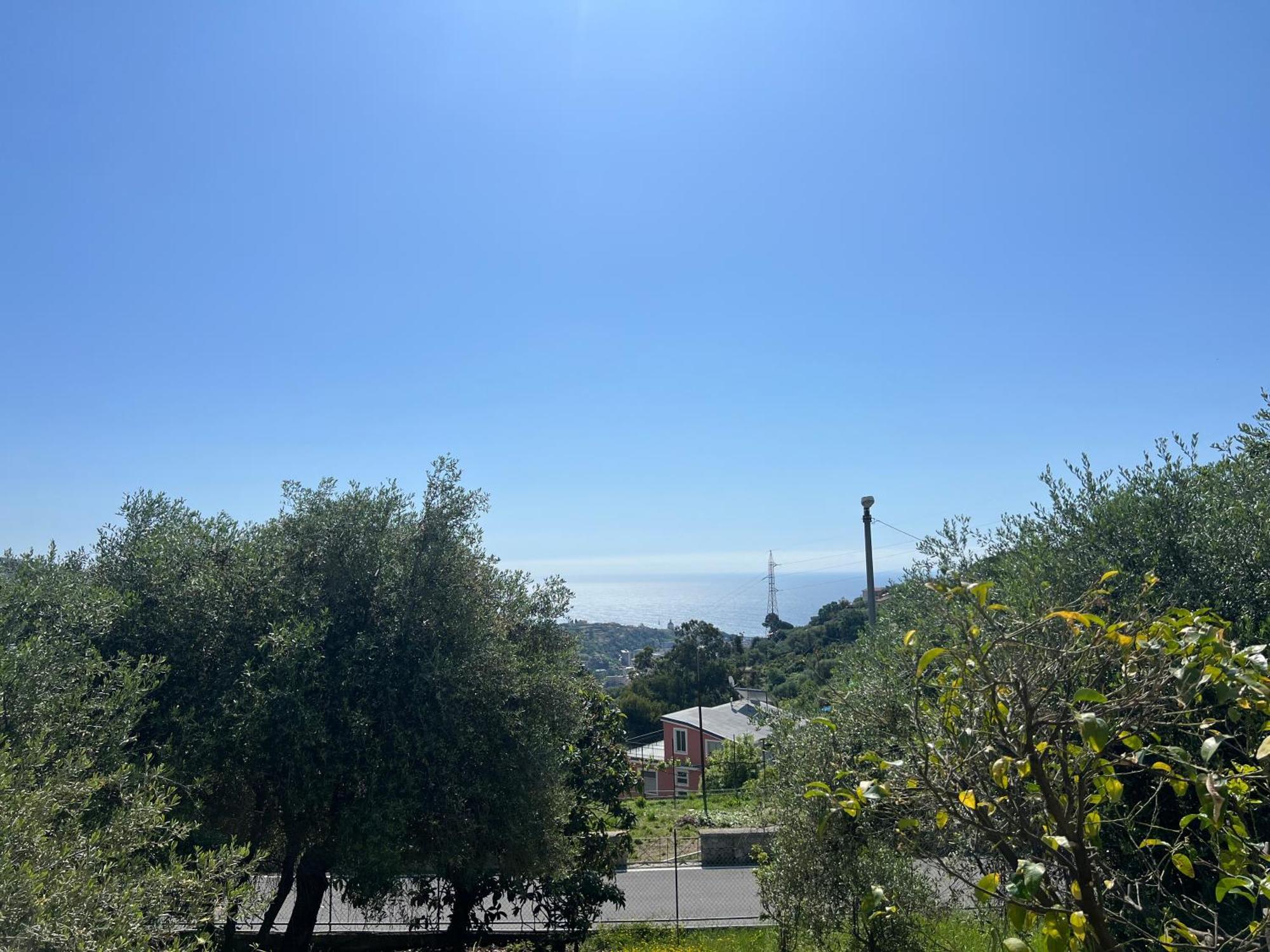 Villa In Collina Vista Mare Σαν Ρέμο Εξωτερικό φωτογραφία